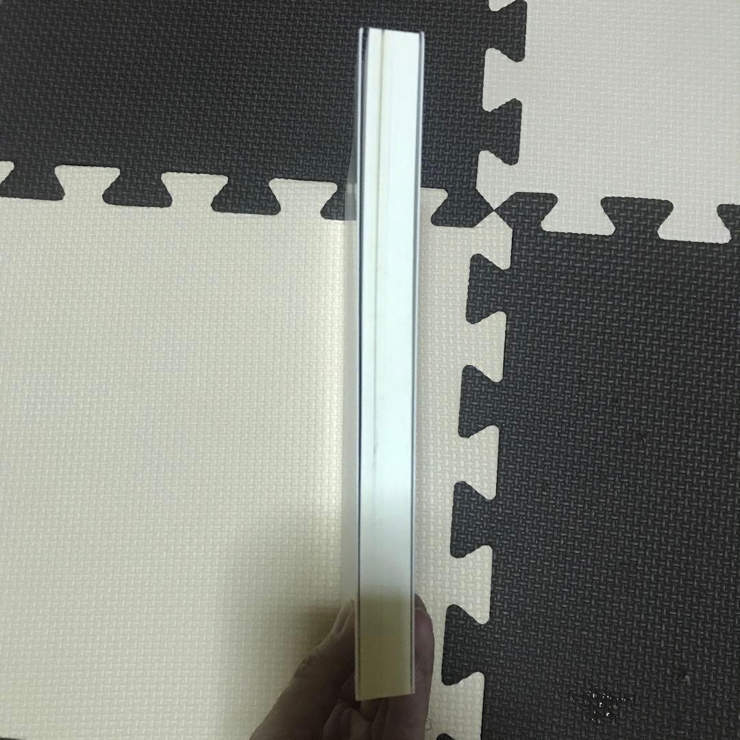 相似象学会誌　相似象　第１６号