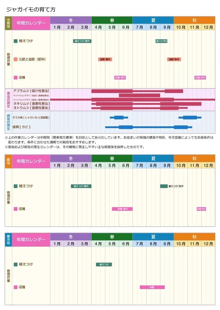 ☆284☆ジャガイモ (4品種) の種芋