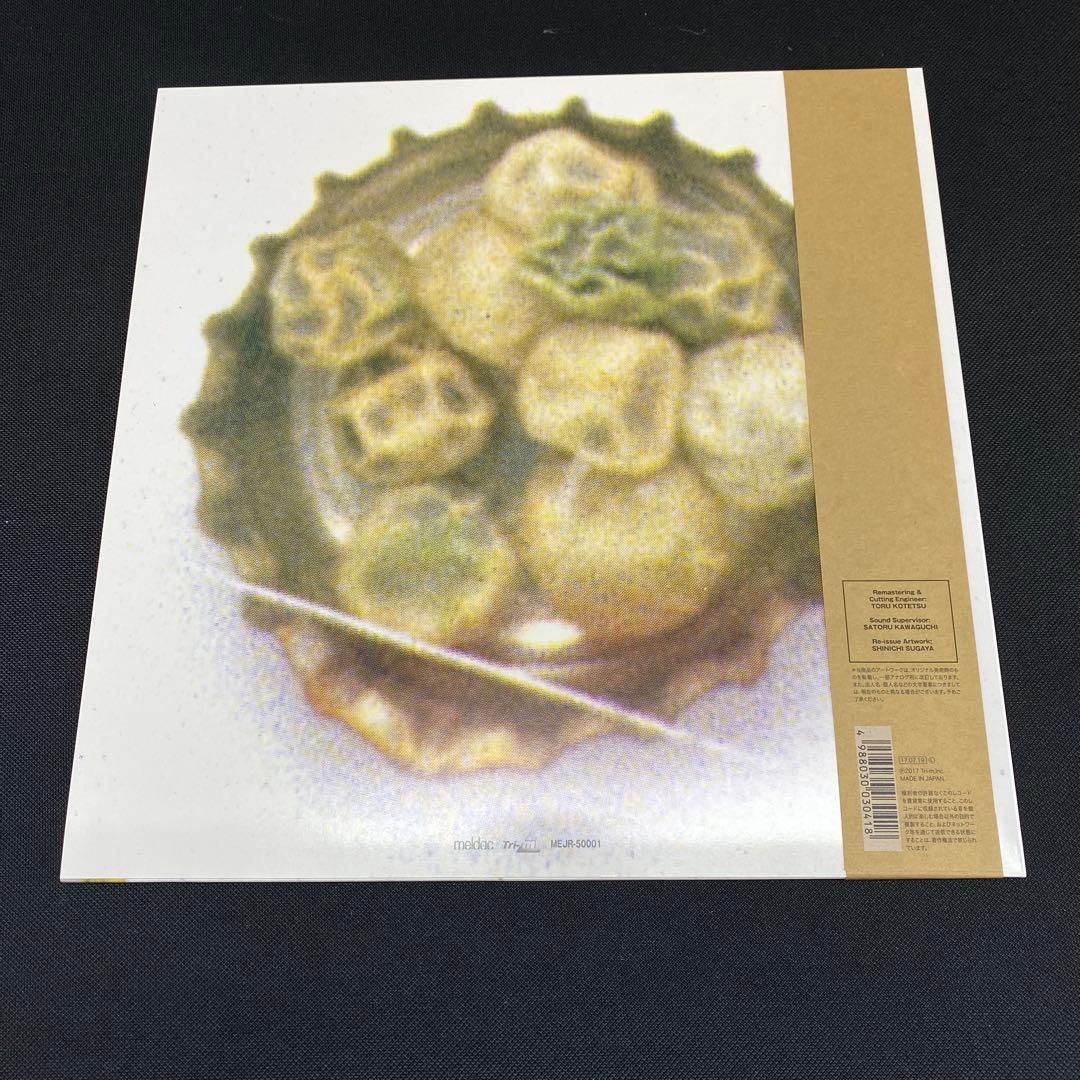 真島昌利／夏のぬけがら 12インチアナログレコード